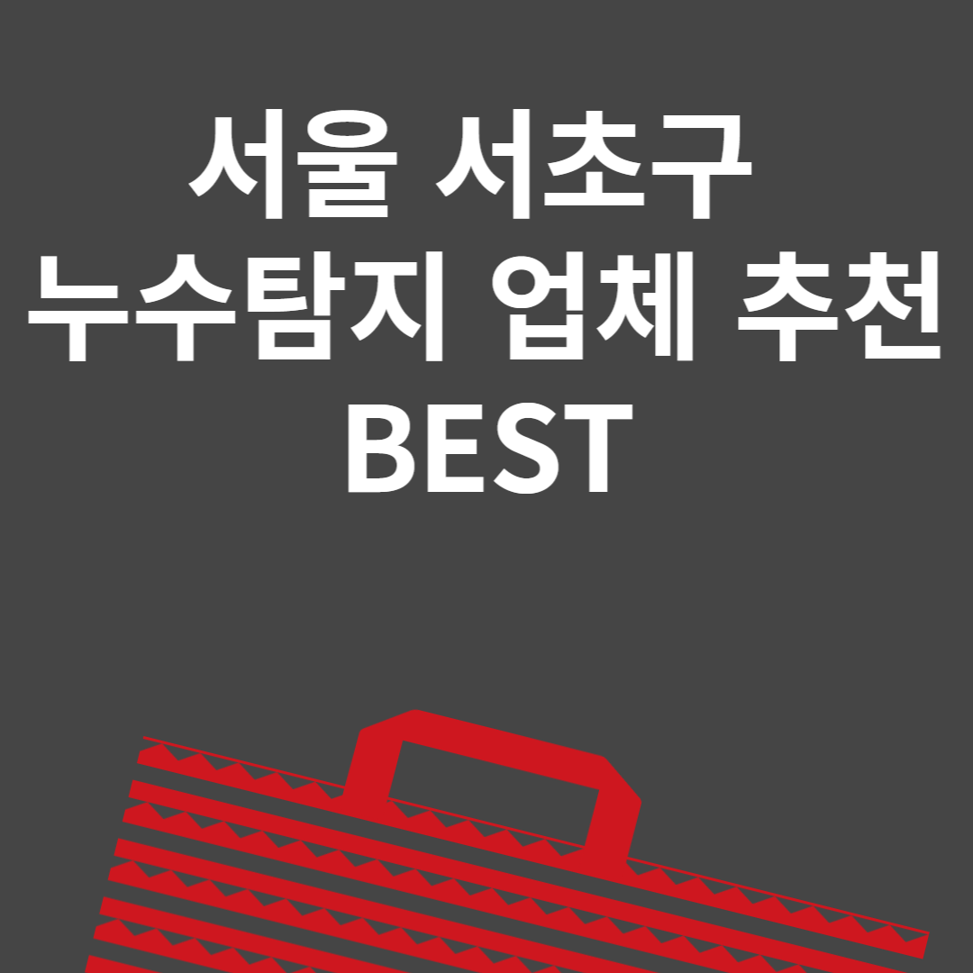 서울 서초구 누수탐지 업체 추천 Best6ㅣ비용ㅣ누수 보험 블로그 썸내일 사진