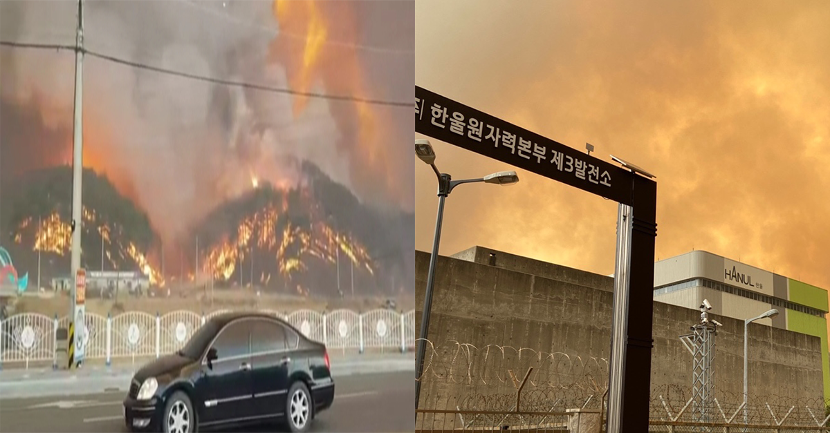  울진 산불, 한울 원전 접근에 비상상황.. 대용량포 방사시스템 방어 중