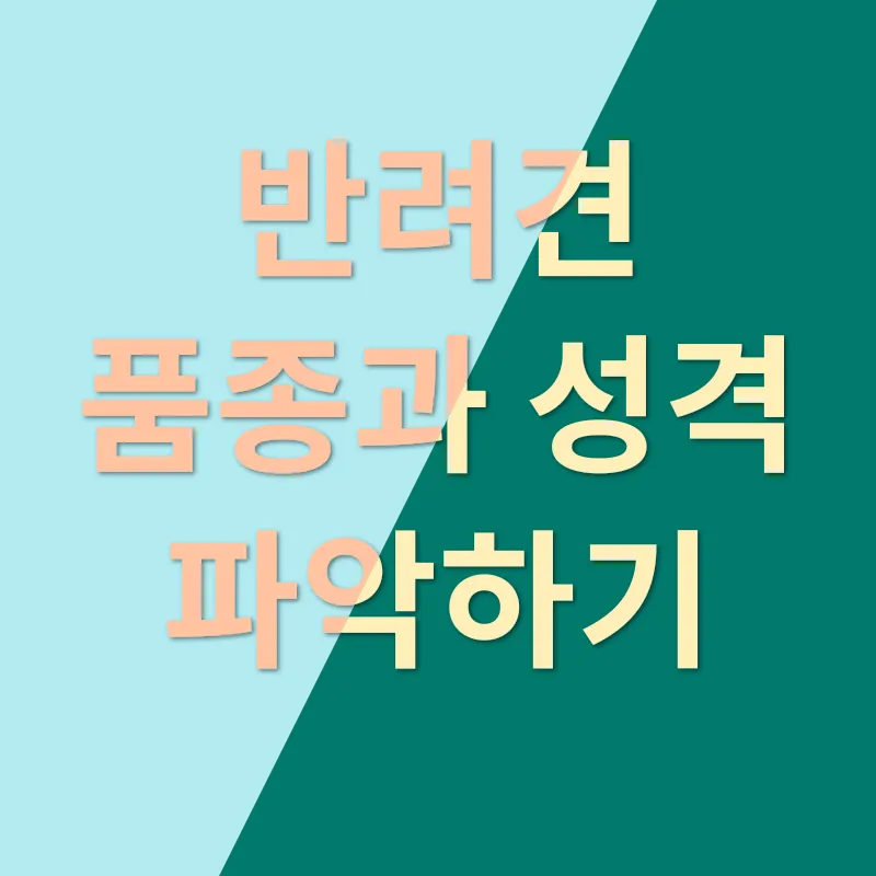 반려견 분양_1_subsection