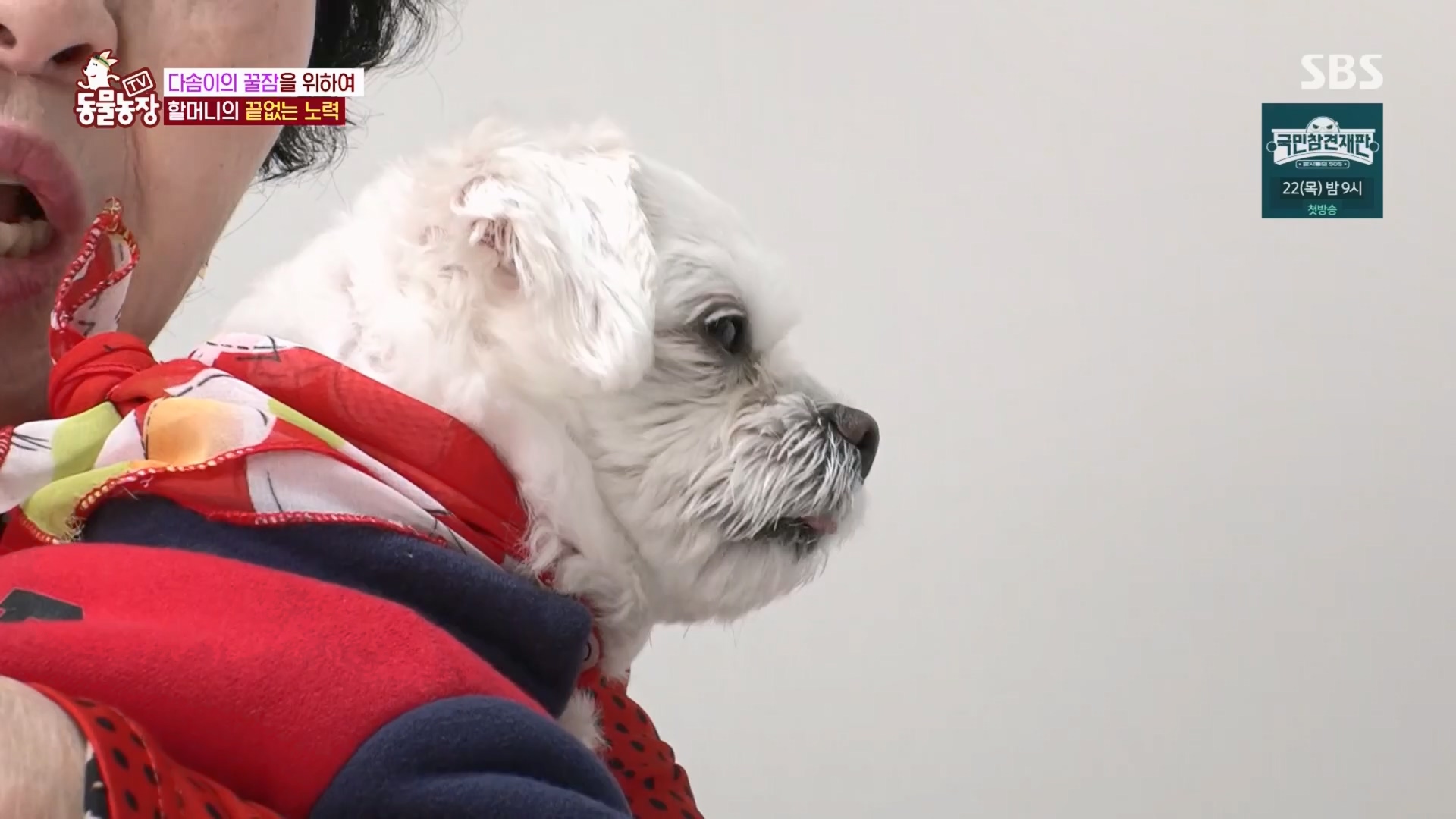 TV 동물농장.E1159.240218p.H264-F1RST.mp4_20240218_170000.988.jpg