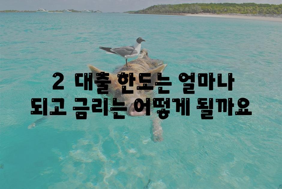 ### 2.  대출 한도는 얼마나 되고, 금리는 어떻게 될까요?