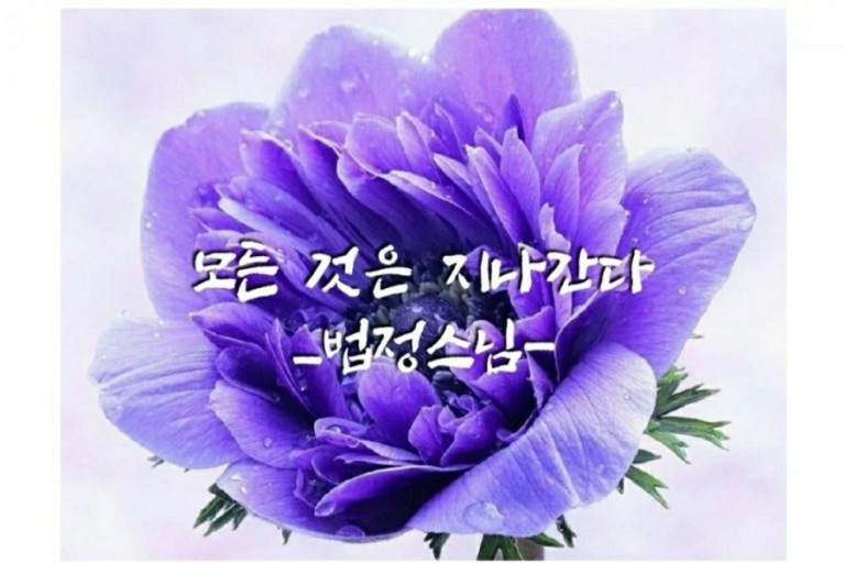 일인 이미지