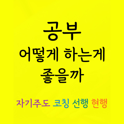  송죽동 중등 국어과외 영화동 고등 과학과외 예비중 한국사 예비고 세계사 사탐과탐 중1중2중3 고1고2고3 과외