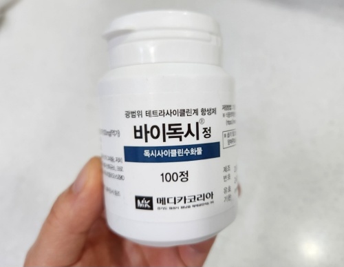 바이독시정