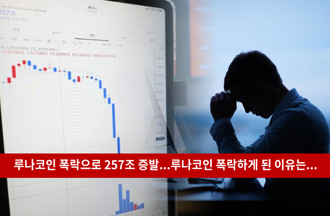  루나코인 시세 폭락 이유