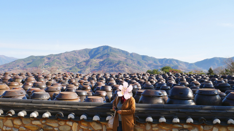 23년-광양-매화축제-일정-주차