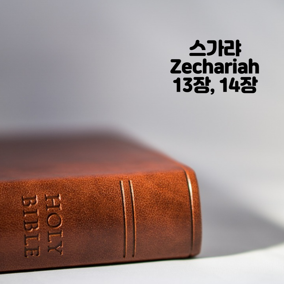 Holy BIBLE 생명의 삶 영어 한글 성경 말씀 - 스가랴(Zechariah) 13장, 14장