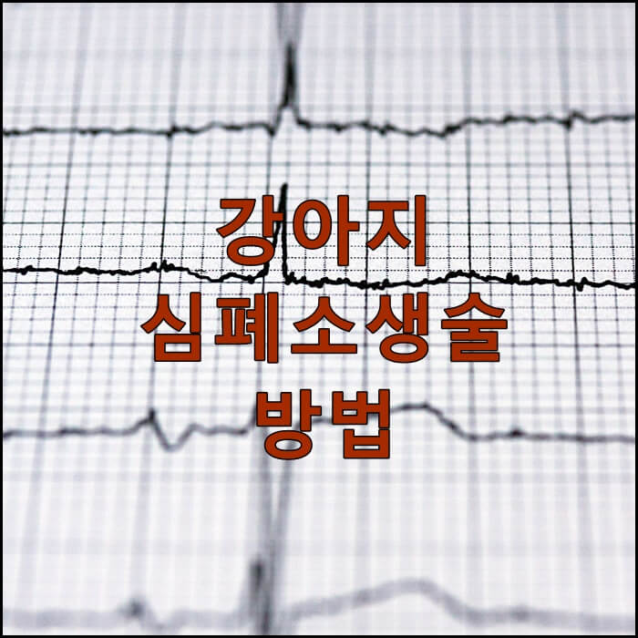  강아지 심폐소생술