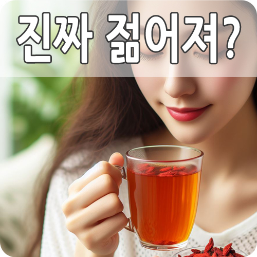  구기자 효능과 부작용 그리고 먹는 법