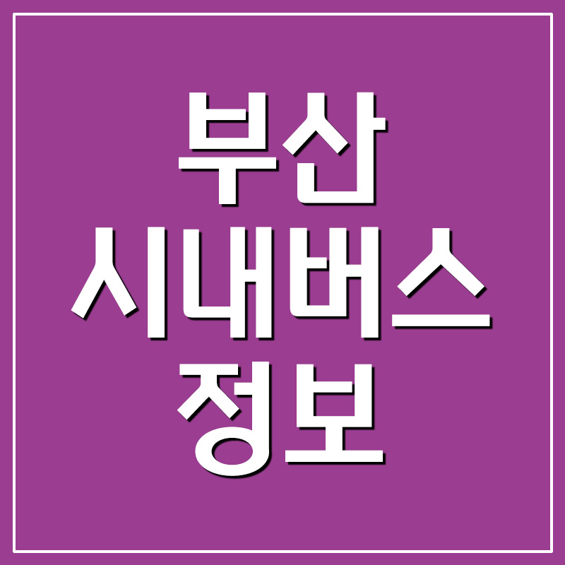  부산 시내버스 노선 시간표 및 요금