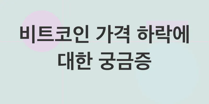 비트코인 가격 하락 대응 전략_4