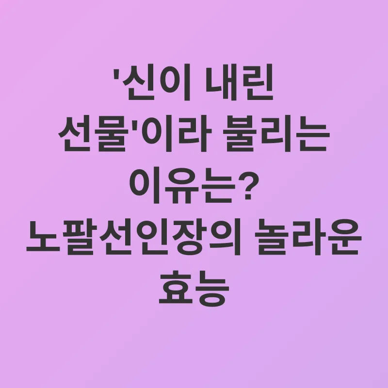 노팔선인장 효능_1