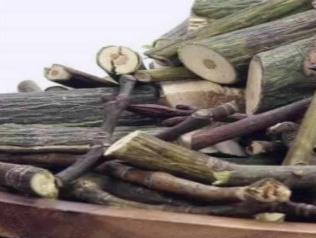 벌나무 효능 13가지와 끓여먹는 방법과 벌나무 부작용