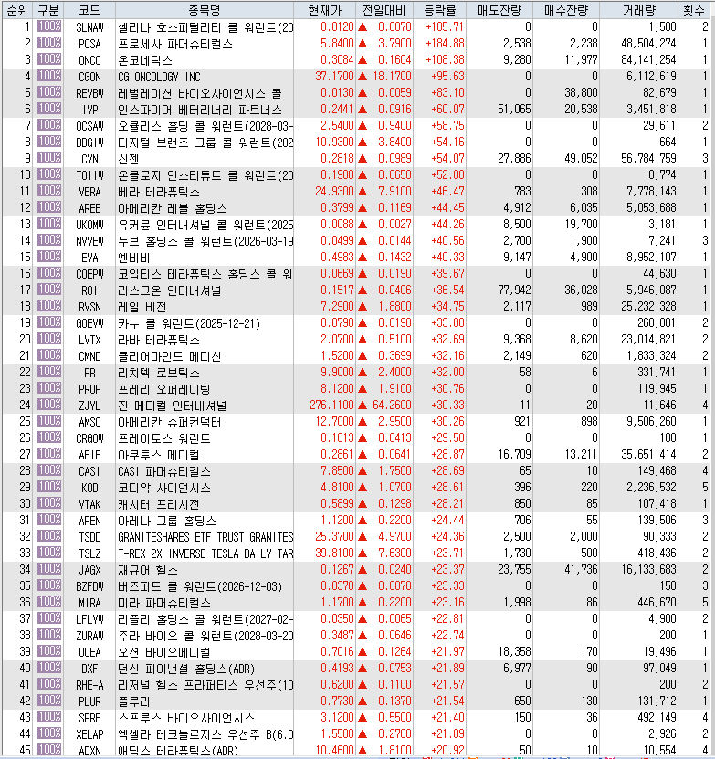 1월 25일 미국 주식 상승률 상위 종목 TOP 300