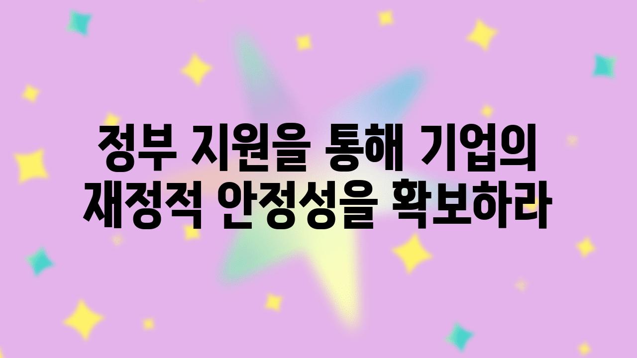 정부 지원을 통해 기업의 금전적 안정성을 확보하라