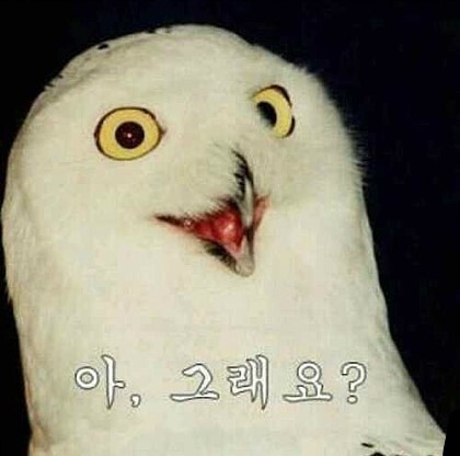  네이트판 레전드 사이다 시댁 가부장적인 시아버지