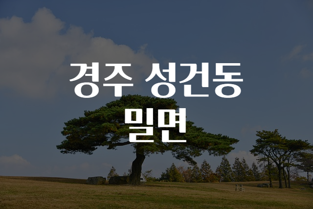 경주맛집밀면 이미지