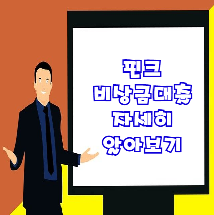  핀크 비상금대출 반드시 확인해야 할 5가지 | 무직자대출 가능
