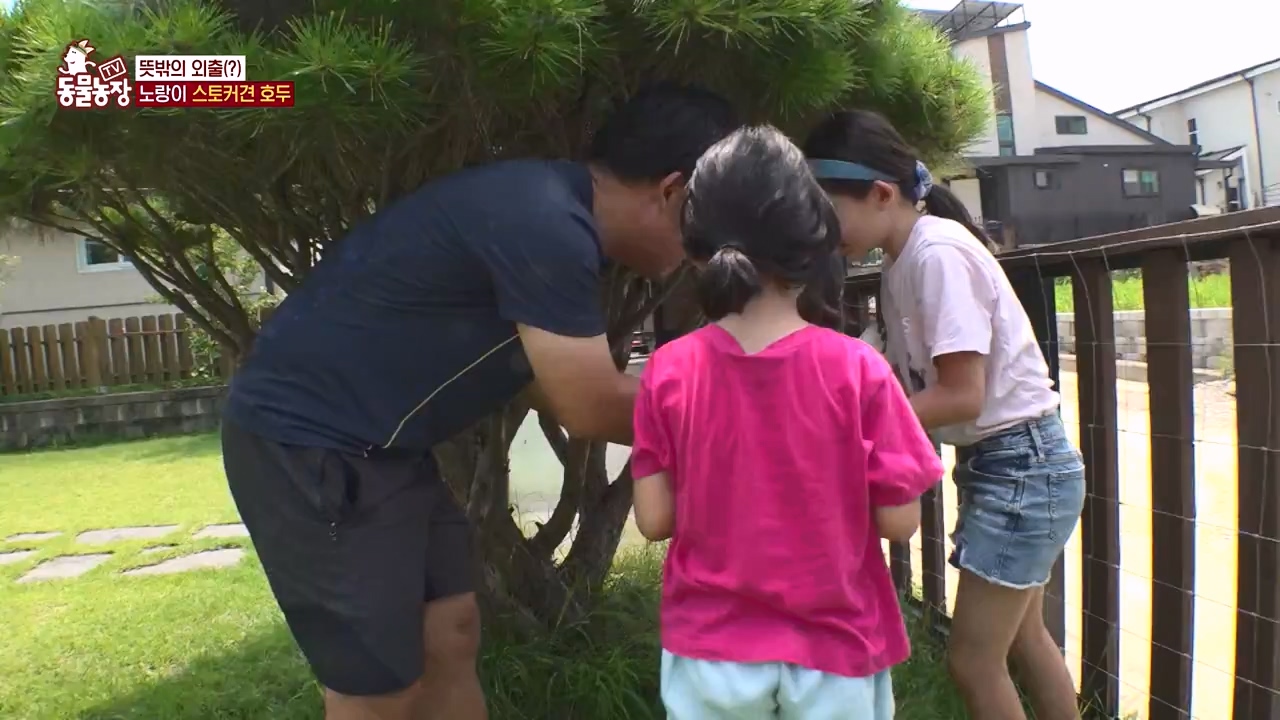 TV 동물농장.E1133.230814p-NEXT.mp4_20230813_171327.746.jpg