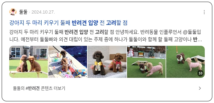 반려견 입양 고려하기_2_subsection
