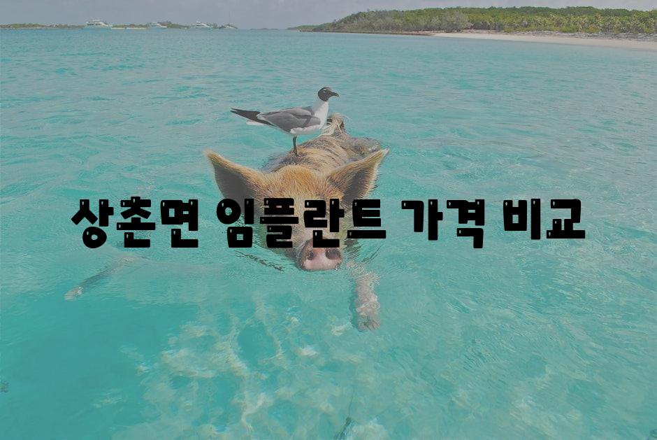 상촌면 임플란트 가격 비교