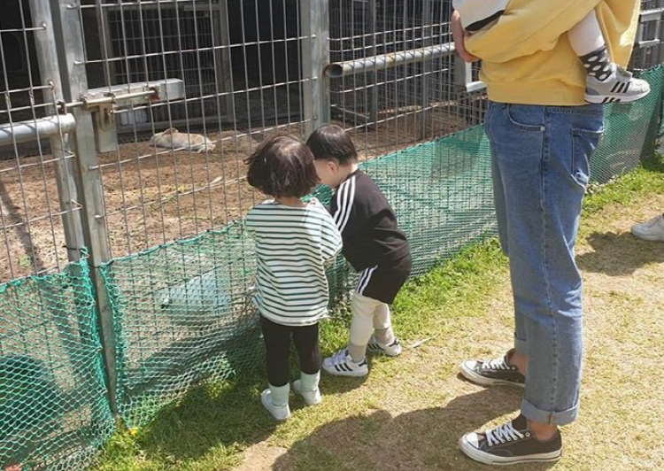 장흥 하늘빛수목원