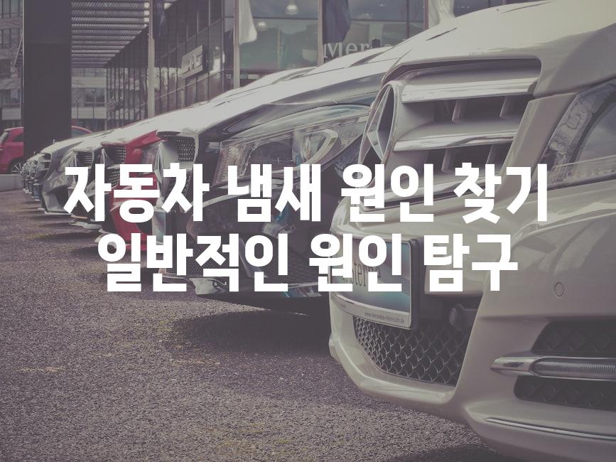 자동차 냄새 원인 찾기 일반적인 원인 탐구