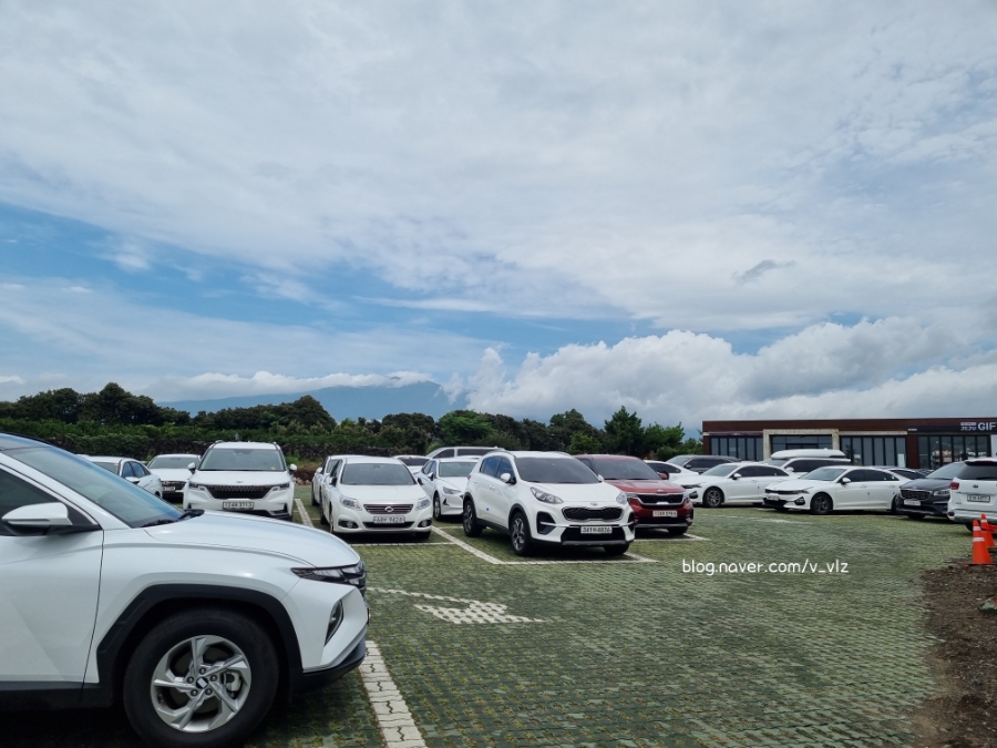 함께라면 전통테우 탑승 후기 제주 쇠소깍 어린 아이들과 47