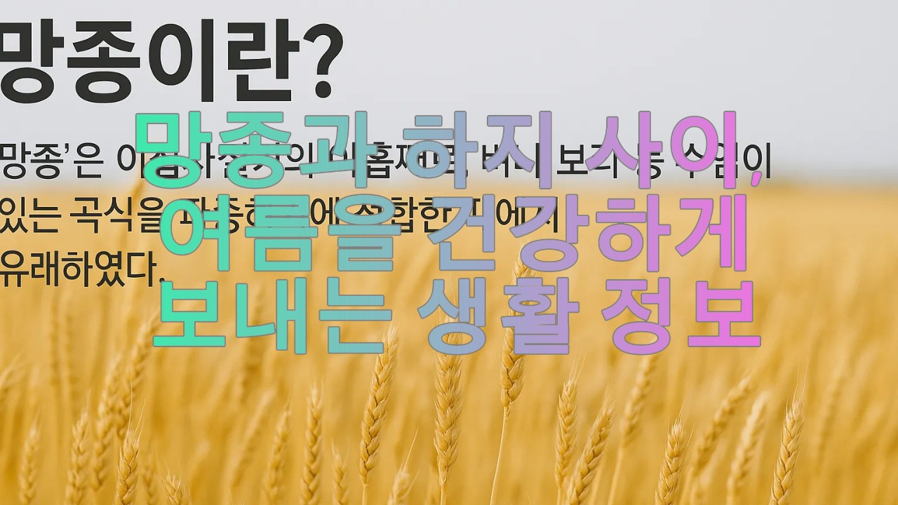 망종과 하지 사이, 여름을 건강하게 보내는 생활 정보