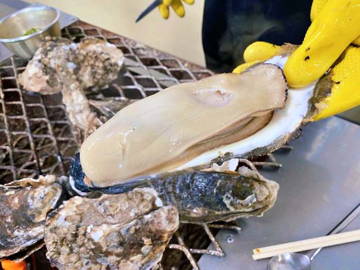 생방송오늘저녁 섬진강 하동 벚굴 구이 강굴 벚굴찜 벚굴전 벚굴죽 재첩국 재첩회무침 맛집 추천