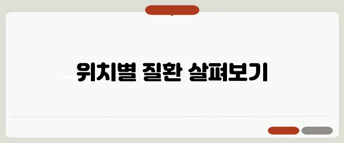복통 원인 위치별로 의심해야 할 질환 정리