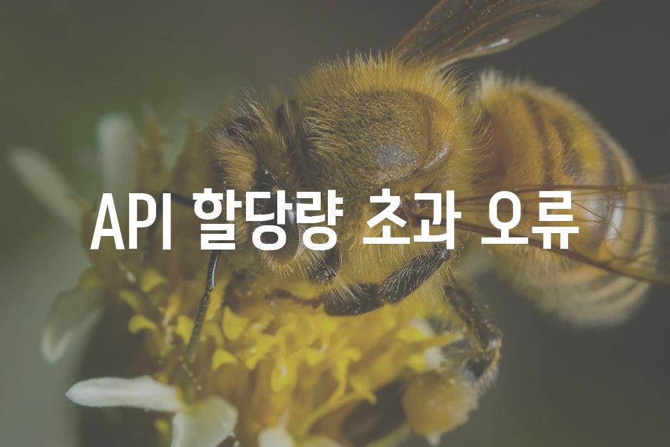 API 할당량 초과 오류 8