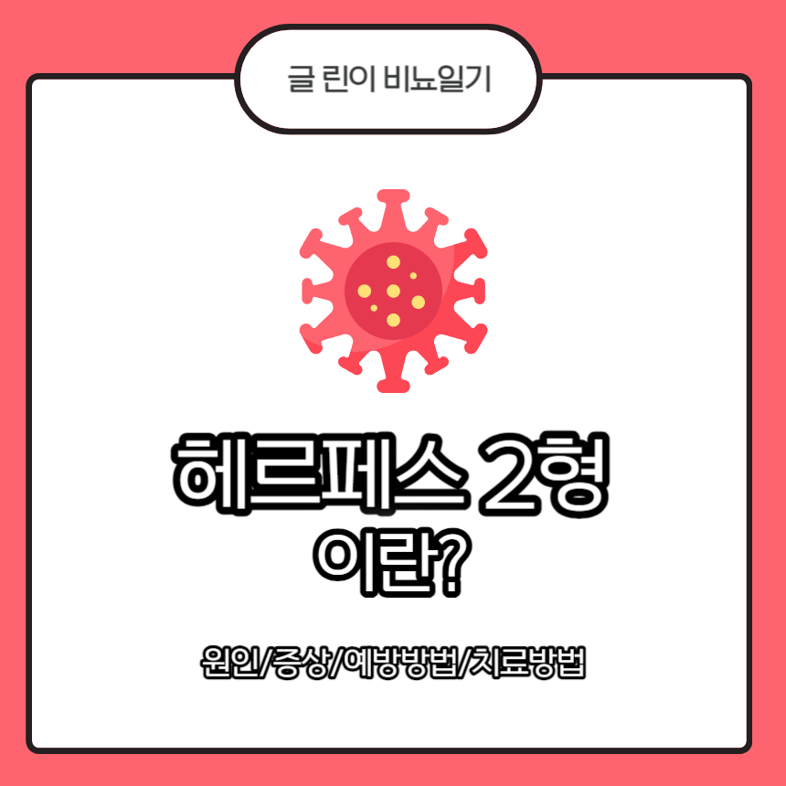  헤르페스 2형 이란? 원인/증상/예방방법/치료방법