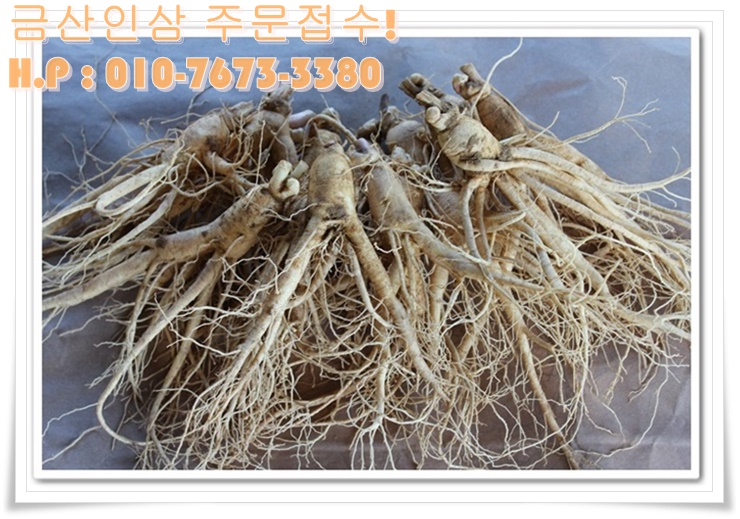 금산인삼직판장 이미지
