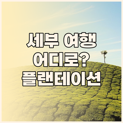 세부 여행, 어디로 갈까? Plant