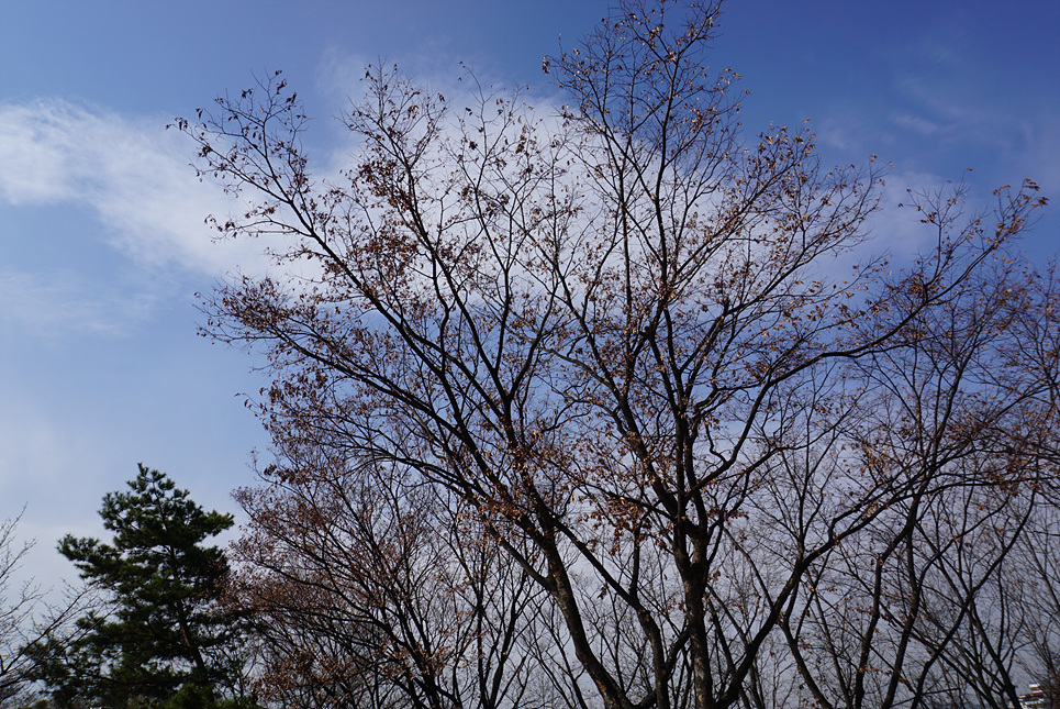 230314 동만봉 3 133