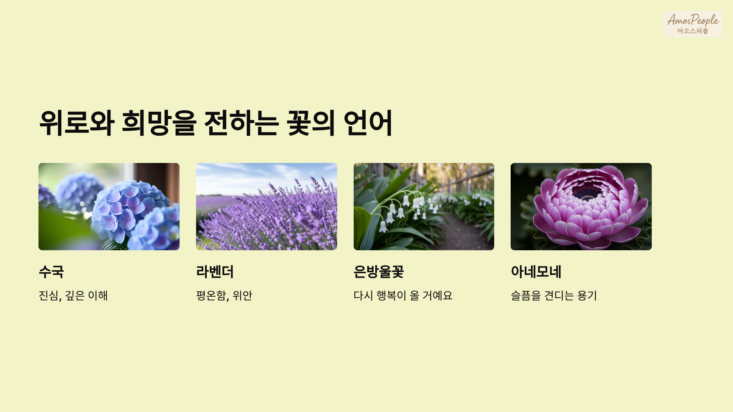 위로와 희망을 전하는 꽃의 언어