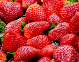  딸기(Strawberry) 효능 및 먹는 방법