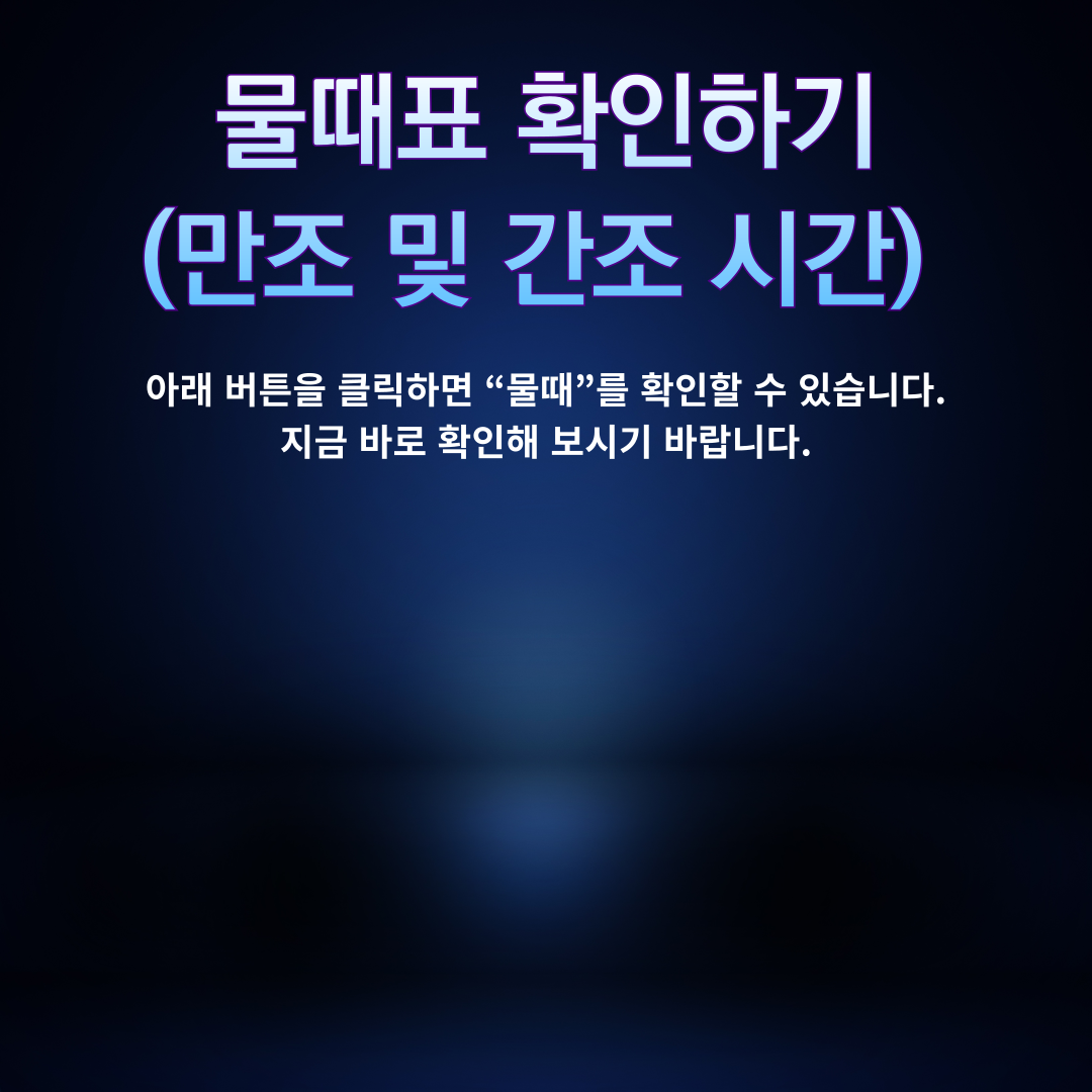 아로스 팝업