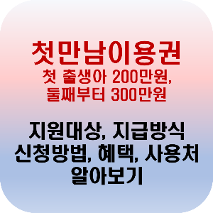 서울시 첫만남이용권 신생아 200만원 바우처 첫만남이용권 지원대상 신청방법 사용처 사용기간 국민행복카드