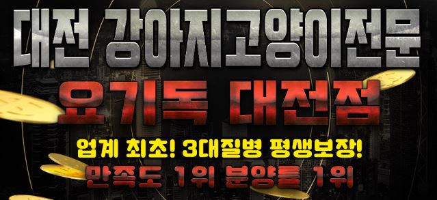  대전 요기독에서 완벽하게 보장받았어용
