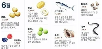 6월 제철 음식 추천 종류_1