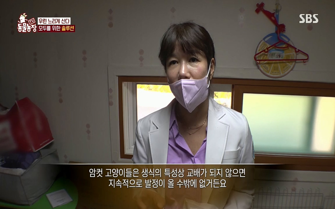 TV 동물농장.E1076.220704p.H264-F1RST.mp4_20220703_175611.759.jpg