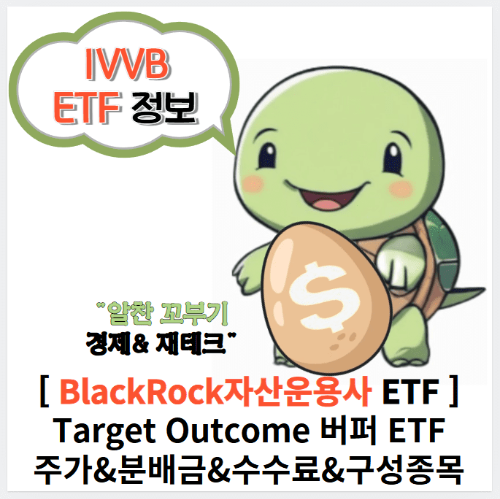 알찬꼬부기의 IVVB ETF 정보