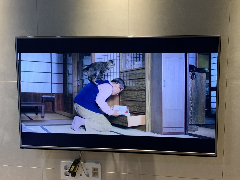 아임얼라이브/ 신리천 카페 28