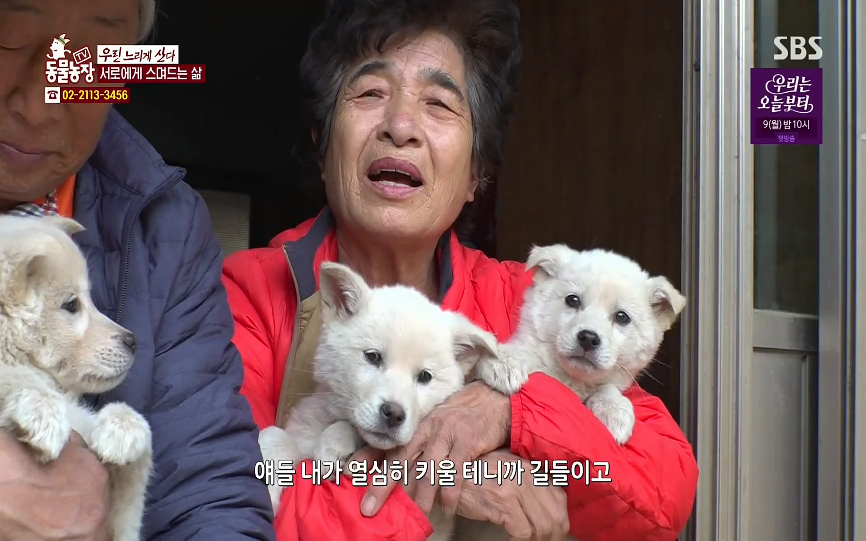 TV 동물농장.E1067.220501p.H264-F1RST.mp4_20220501_185024.353.jpg
