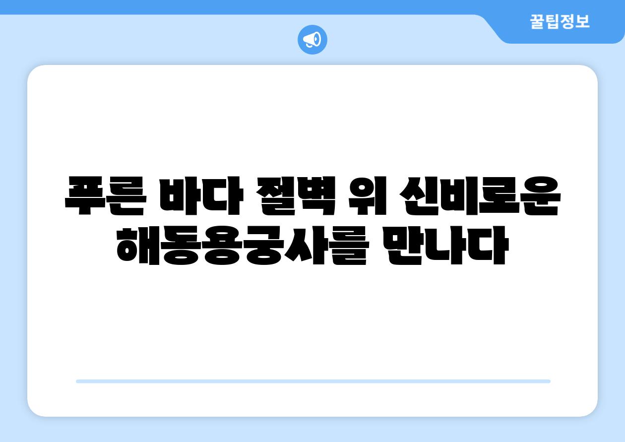 푸른 바다 절벽 위 신비로운 해동용궁사를 만나다