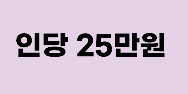 인당 25만원