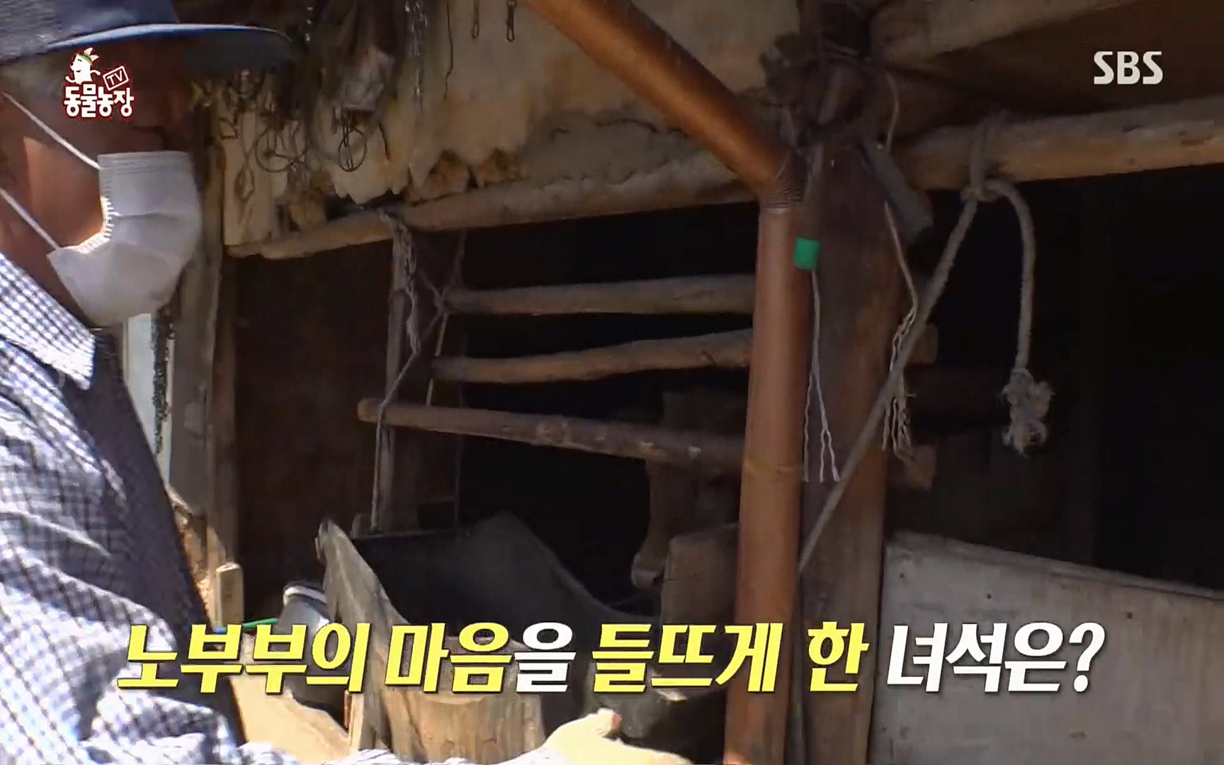 TV 동물농장.E1067.220501p.H264-F1RST.mp4_20220501_183417.925.jpg