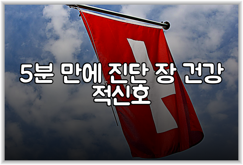 5분 만에 진단 장 건강 적신호
